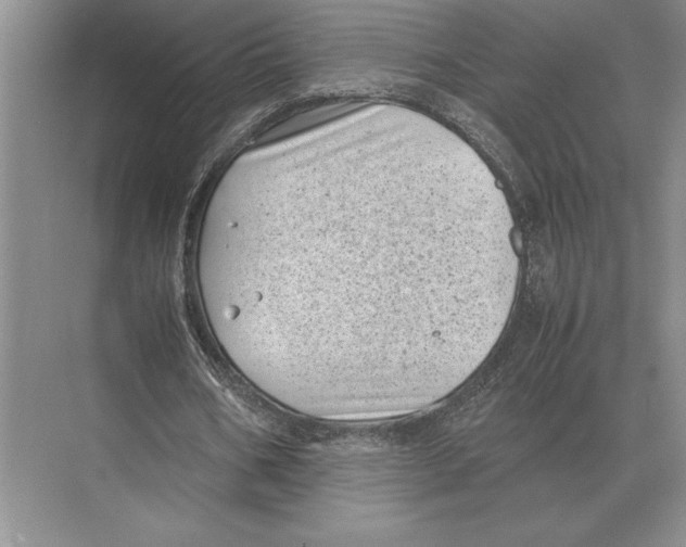 X0000072530578200608111748