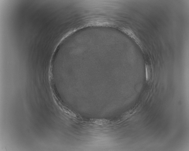 X0000072530579200608111748