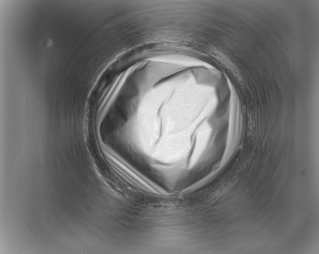 X0000072530580200608111748