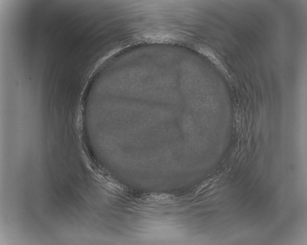 X0000072530583200608111748