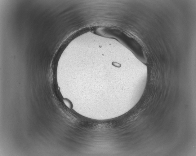 X0000072530584200608111748