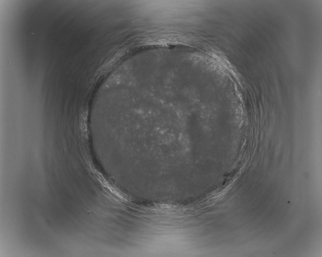 X0000072530585200608111748