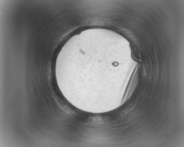 X0000072530588200608111748