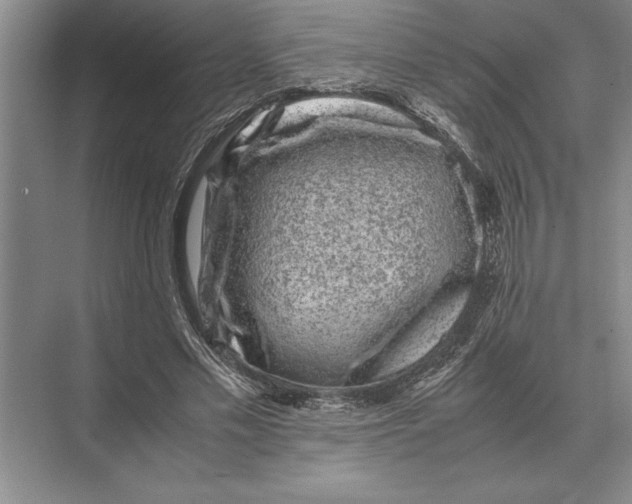 X0000072530589200608111748