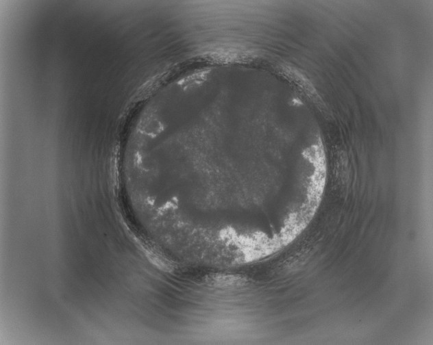 X0000072530590200608111748