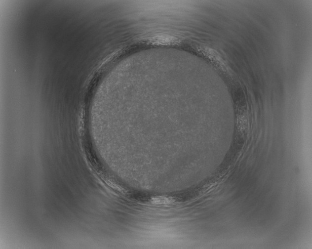 X0000072530591200608111748