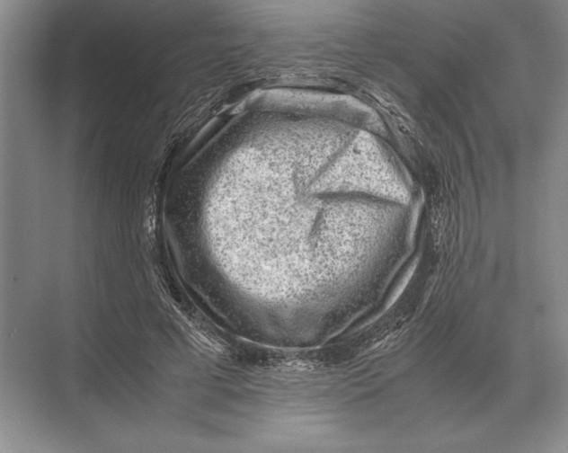 X0000072530593200608111748