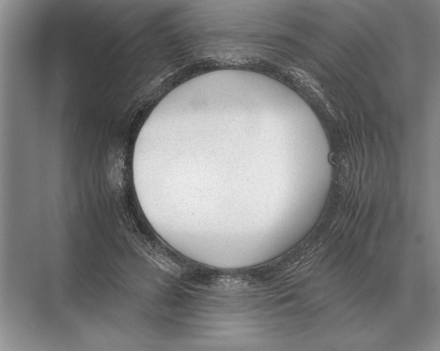 X0000072530596200608111748