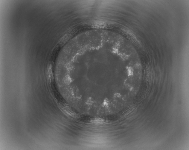 X0000072530598200608111748