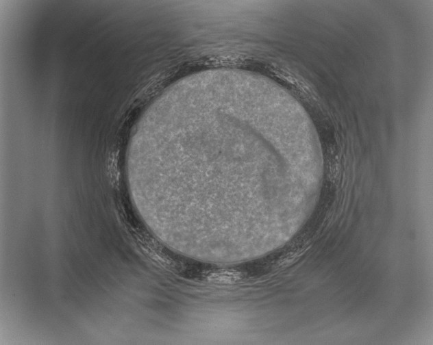 X0000072530599200608111748