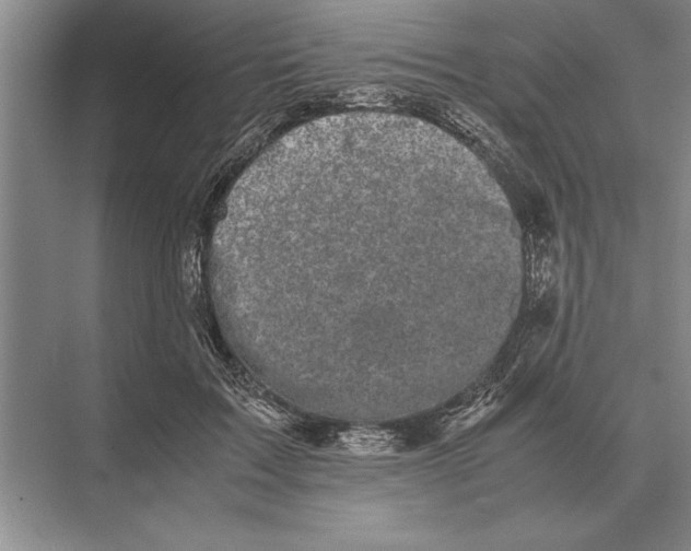 X0000072530603200608111748