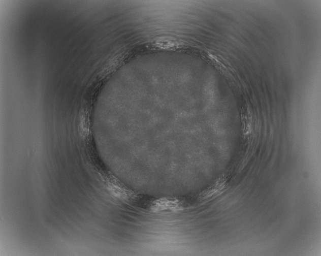 X0000072530606200608111748