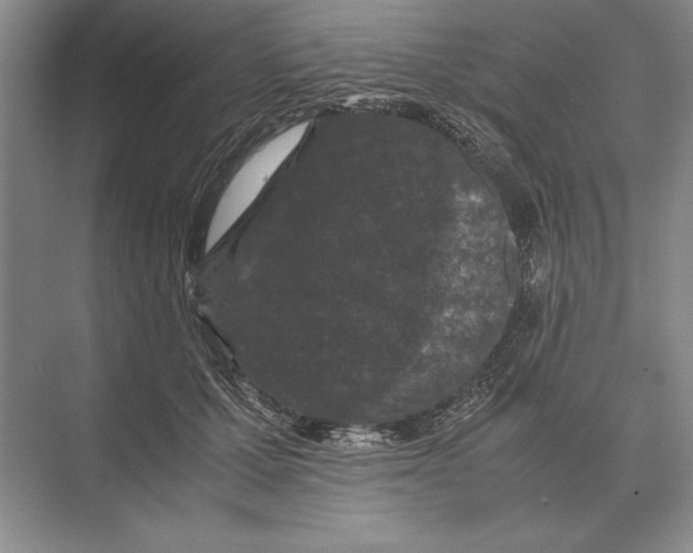 X0000072530607200608111748