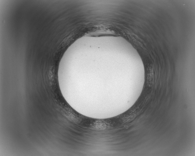 X0000072530608200608111748