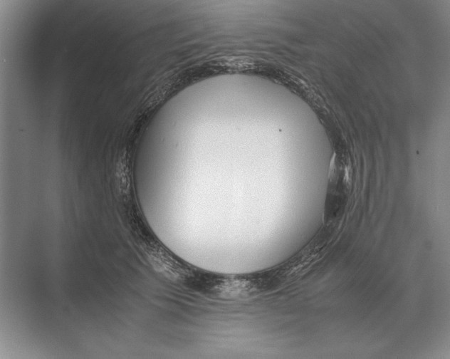 X0000072530609200608111748