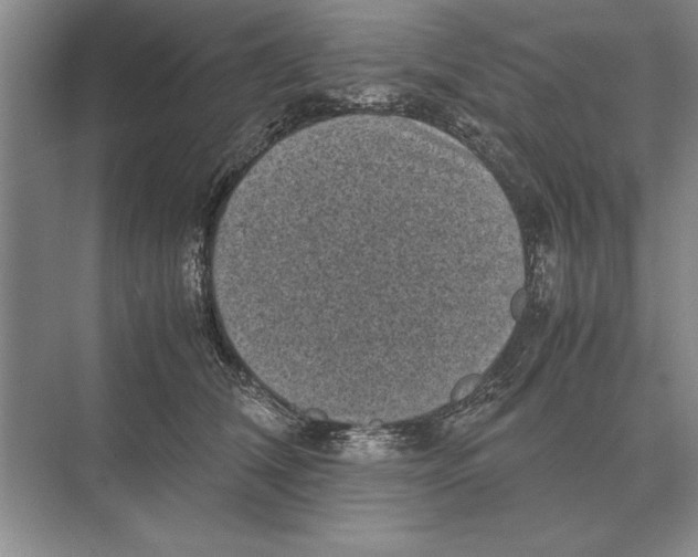 X0000072530612200608111748