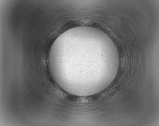 X0000072530613200608111748