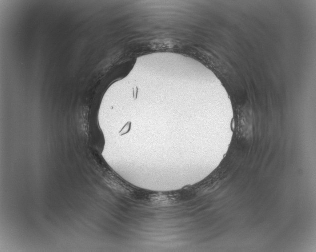 X0000072530616200608111748