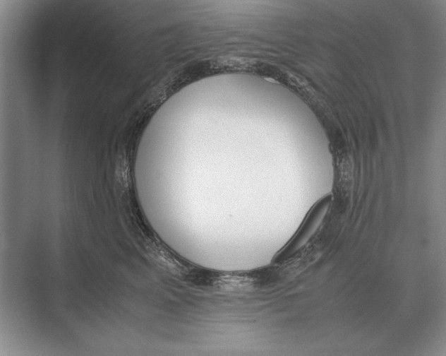 X0000072530617200608111748