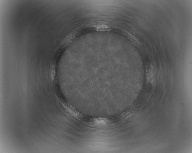 X0000072530618200608111748