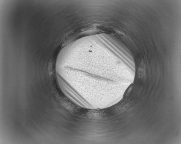 X0000072530620200608111748