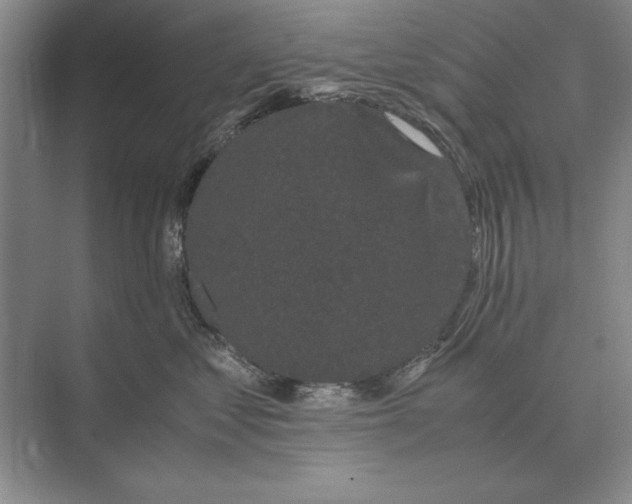 X0000072530621200608111748