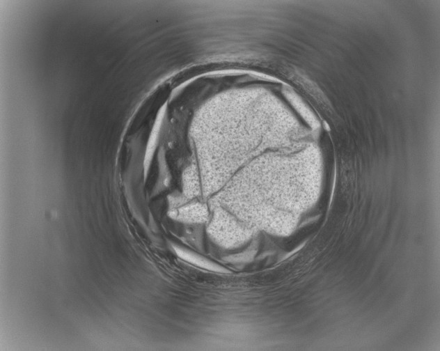 X0000072530628200608111747