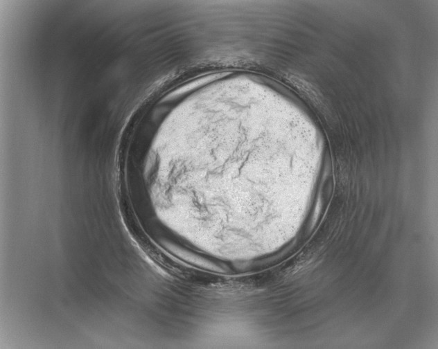 X0000072530630200608111747