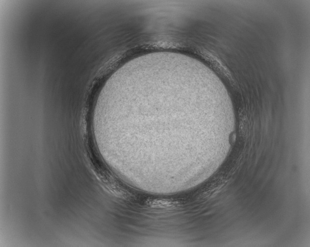 X0000072530635200608111747