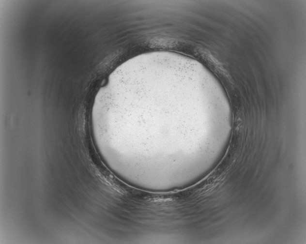 X0000072530637200608111747