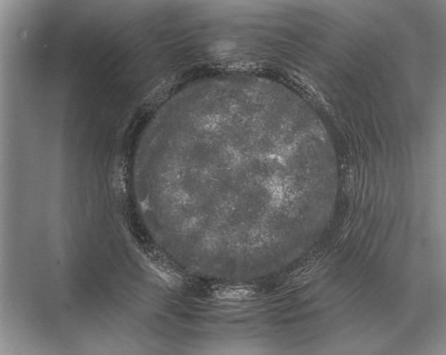 X0000072530643200608111747