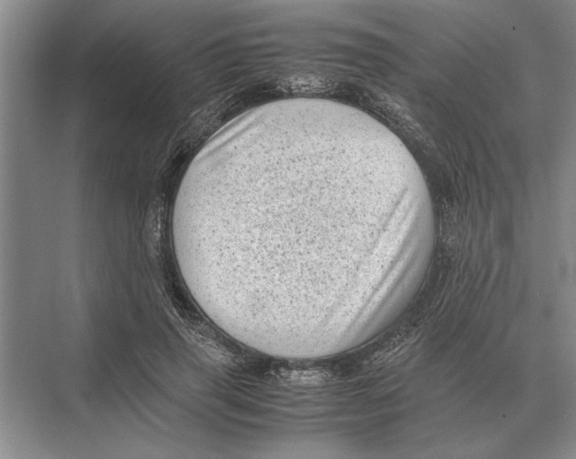 X0000072530645200608111747