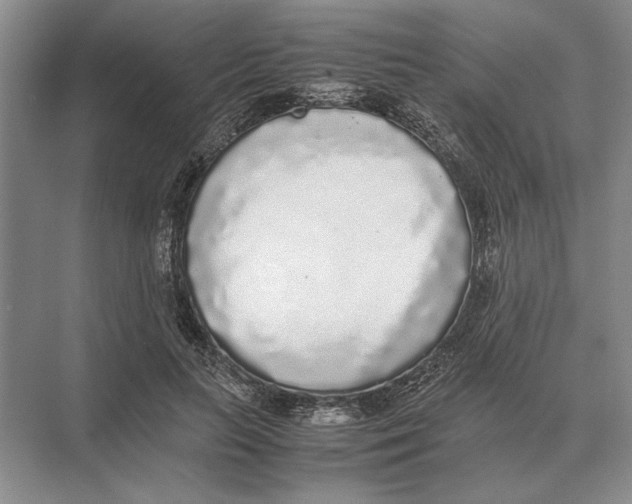 X0000072530647200608111747