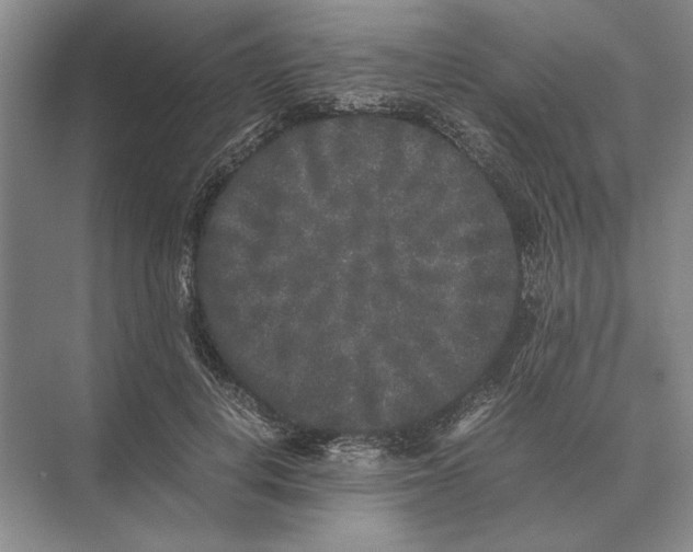 X0000072530648200608111747