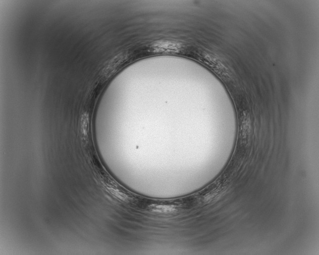 X0000072530649200608111747