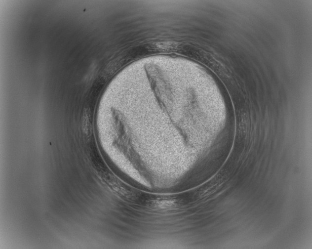 X0000072530651200608111747