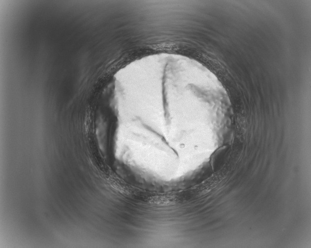 X0000072530652200608111747