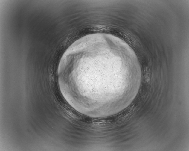 X0000072530653200608111747