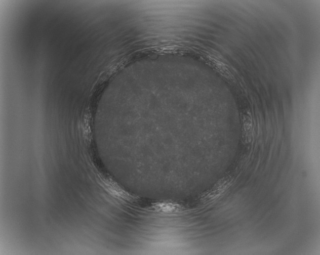 X0000072530654200608111747