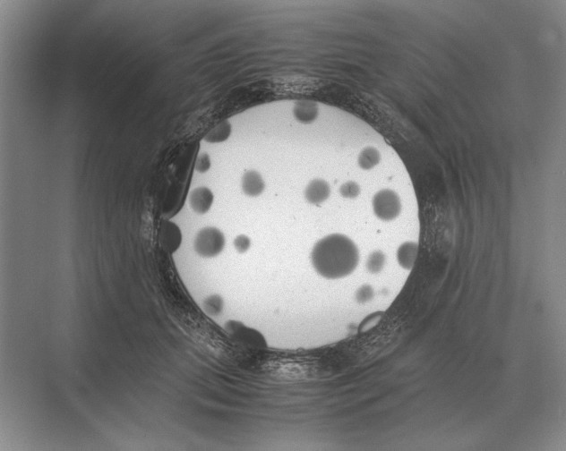 X0000072530655200608111747