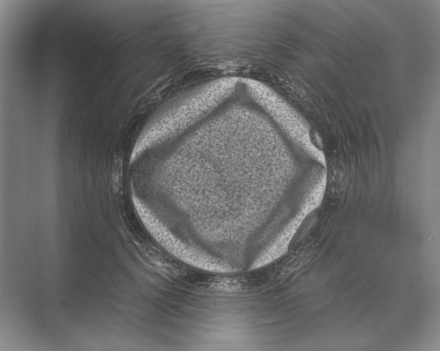 X0000072530656200608111747