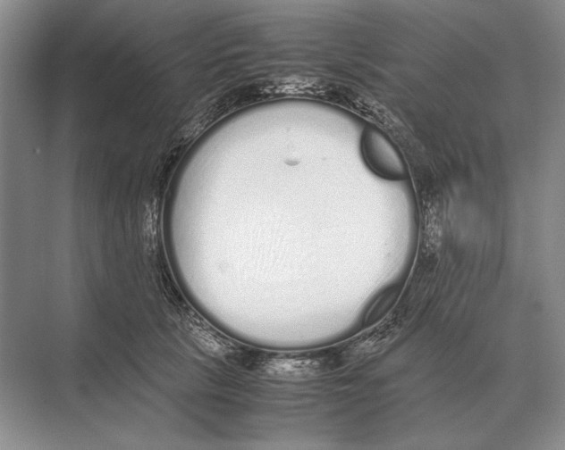 X0000072530657200608111747