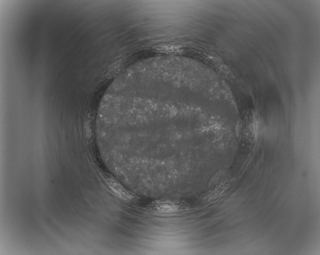 X0000072530658200608111747