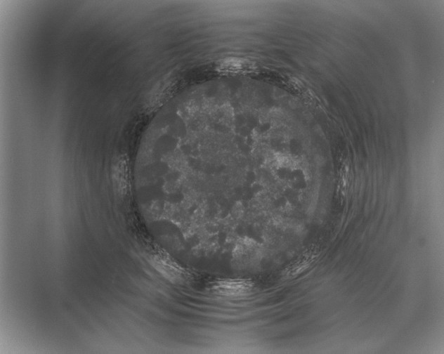 X0000072530659200608111747