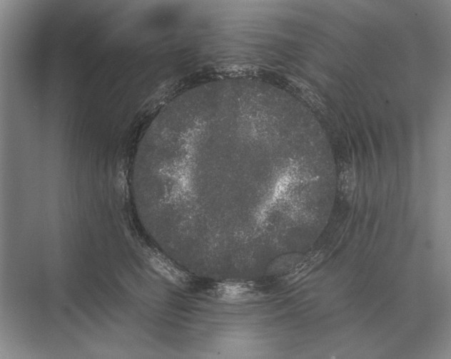 X0000072530662200608111747