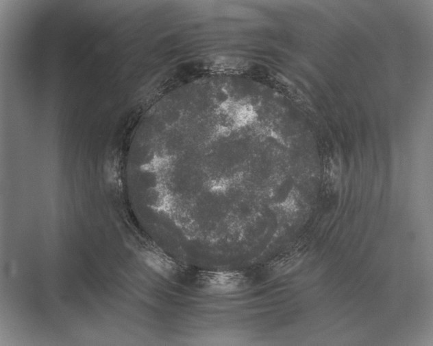 X0000072530663200608111747