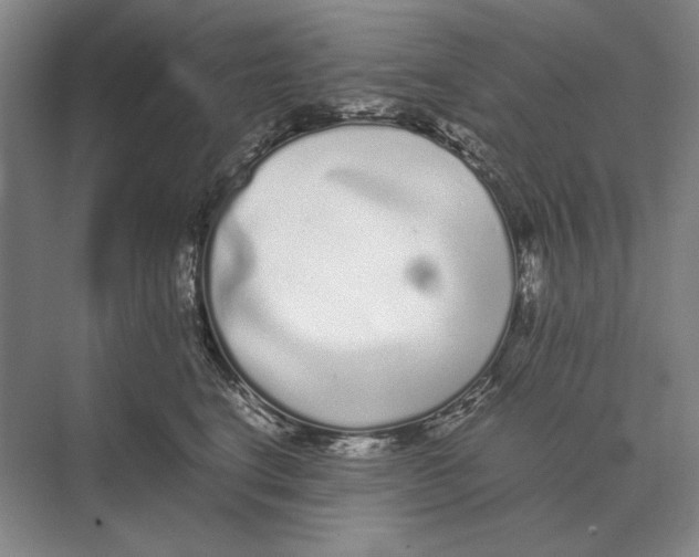 X0000072530664200608111747