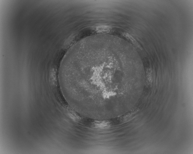 X0000072530667200608111748