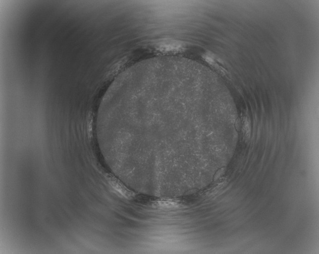 X0000072530668200608111748