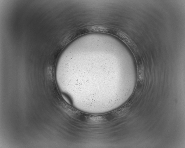 X0000072530669200608111748